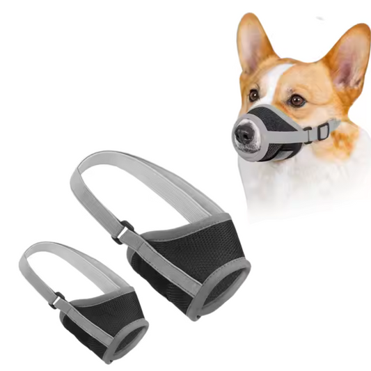 4Paw® Muilkorf Verstelbaar grijs